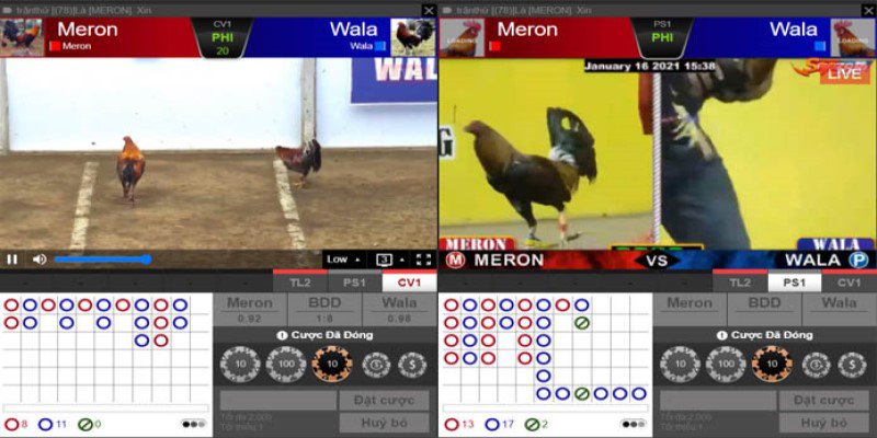 Game Đá Gà Online - Phong Cách Chơi Cá Cược Siêu Cuốn Hút 6 Tìm địa chỉ website phát hành game đá gà online đủ uy tín