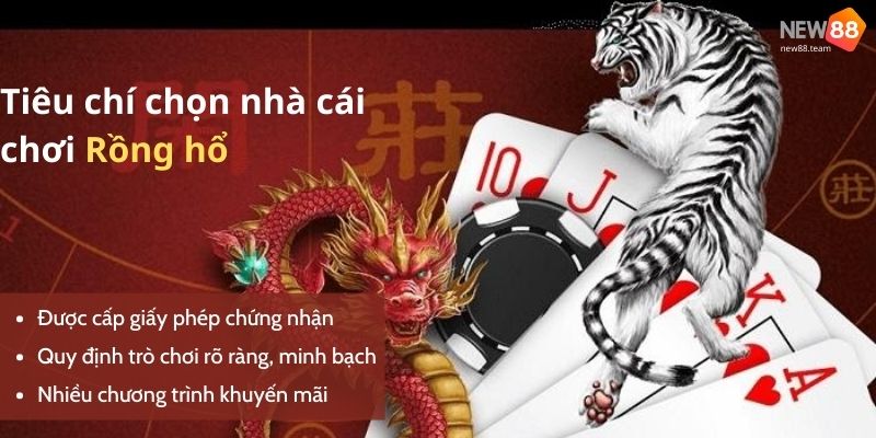 7 bí quyết chơi Rồng hổ trăm trận trăm thắng 1 Tiêu chí để chọn web chơi rồng hổ