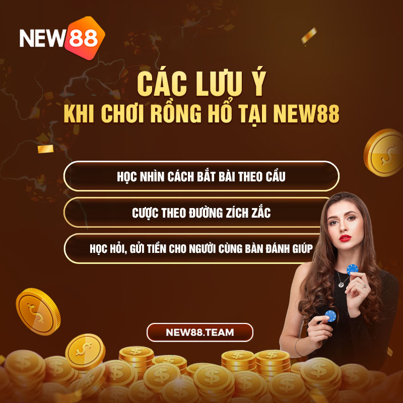 Các lưu ý khi chơi Rồng Hổ tại New88 Các lưu ý khi chơi Rồng Hổ tại New88