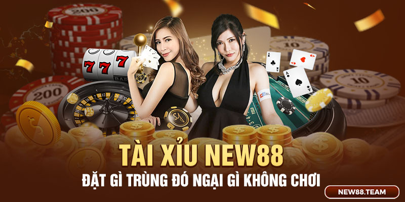 Tài xỉu New88 đặt gì trúng đó ngại gì không chơi Tài xỉu New88 đặt gì trúng đó